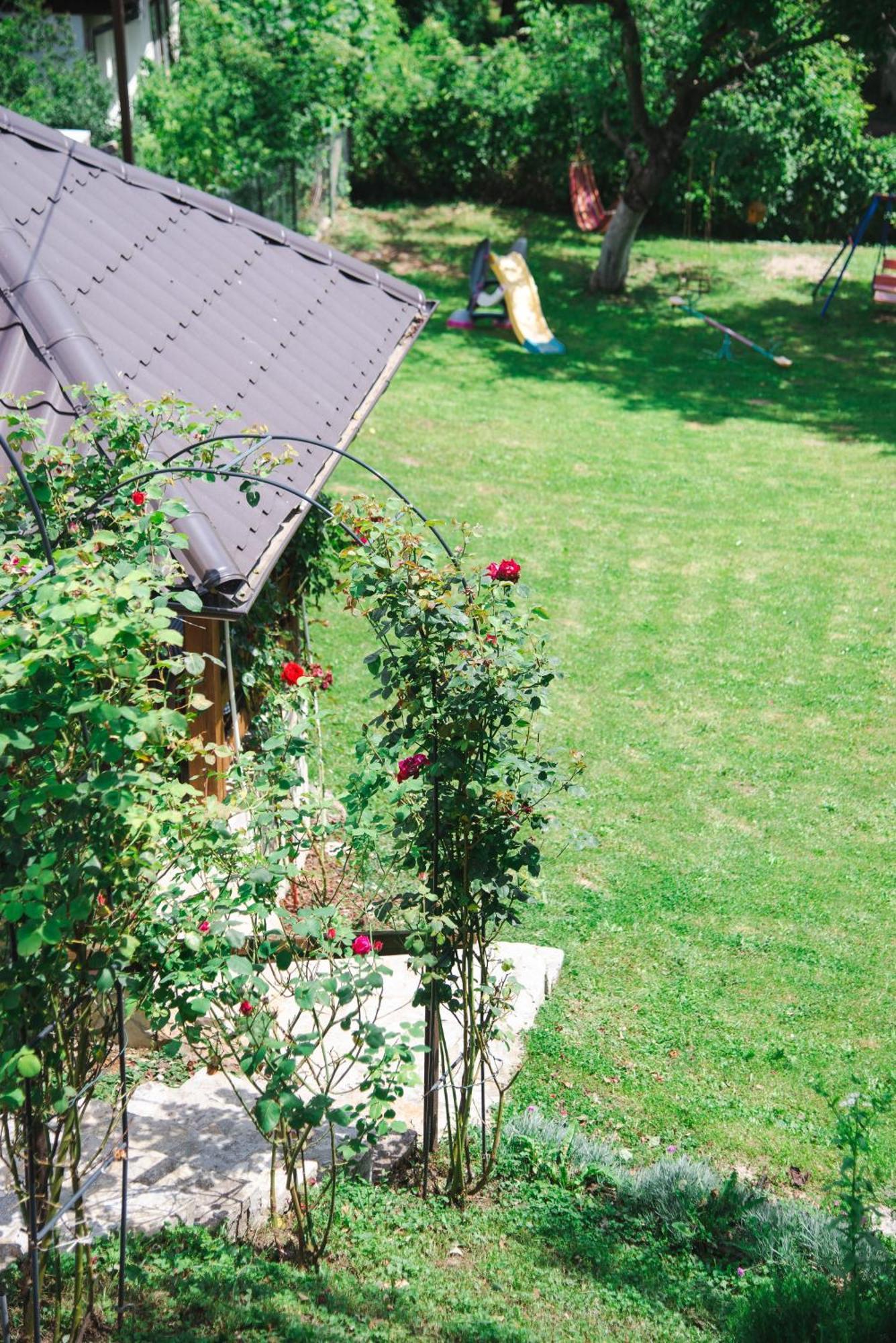 Apartmani Maslacak Vrdnik Exteriér fotografie